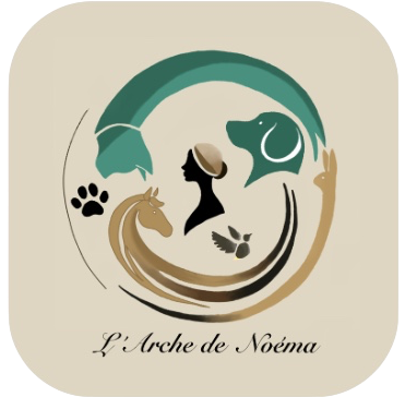 L'Arche de Noéma